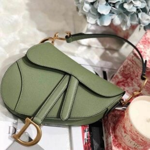 Christian Dior Saddle Bag 20cm Grained Calfskin Canvas Spring/Summer Collection,  Spring Green - Ganebet Store