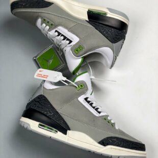 Nike SB Dunk Low Pro Space Jam & Air Jordan 11 Comparison