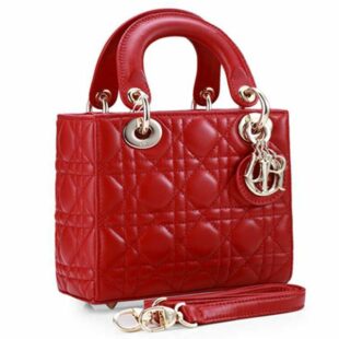 Dior Lady Dior Nano Leather Bag Gold Hardware Red - Ganebet Store